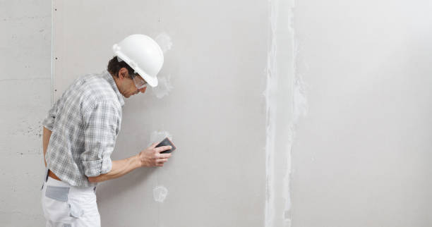 Best Expert Drywall Texturing  in USA