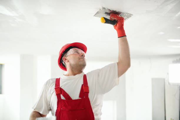 Best Residential Painting Experts  in USA